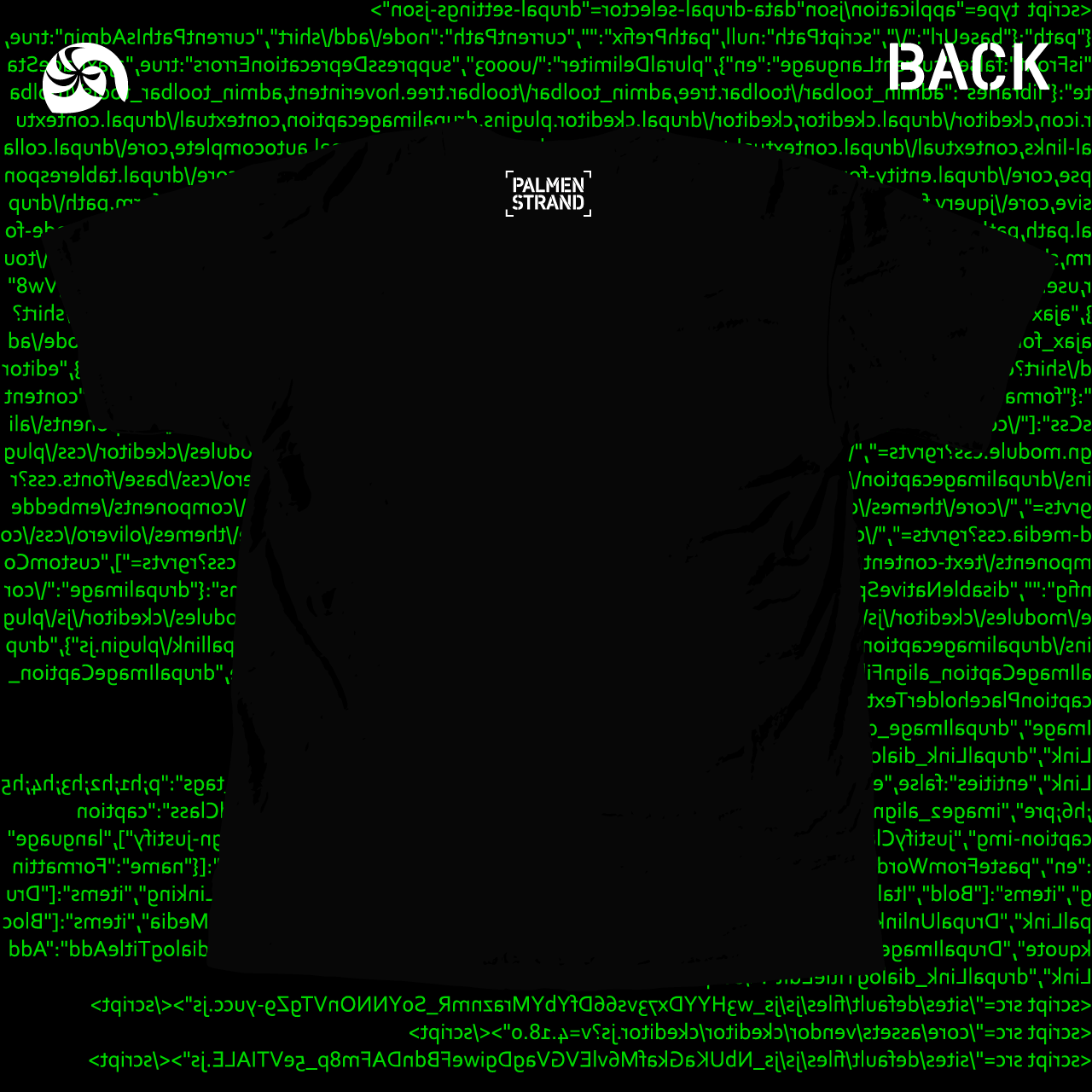clickwork shirt palmenstrand back